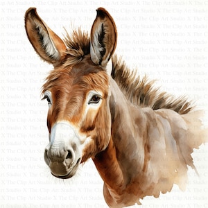 Watercolor Funny Donkey Clipart | 10 High Quality JPGs | Digital Download | Digital Paper Craft | Junk Journals | Clip Art | Scrapbooking