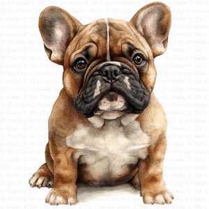 Bulldogge Clipart | 10 hochwertige JPGs | Kinderzimmer Kunst | Digitaler Download | Kartengestaltung | Niedliche Tier Clipart | Digitales Papiermodell | Clip-Kunst