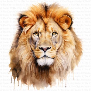 May include: A watercolor painting of a lion's face. The lion has a thick mane of golden brown fur and piercing amber eyes. The background is a soft wash of brown and white.