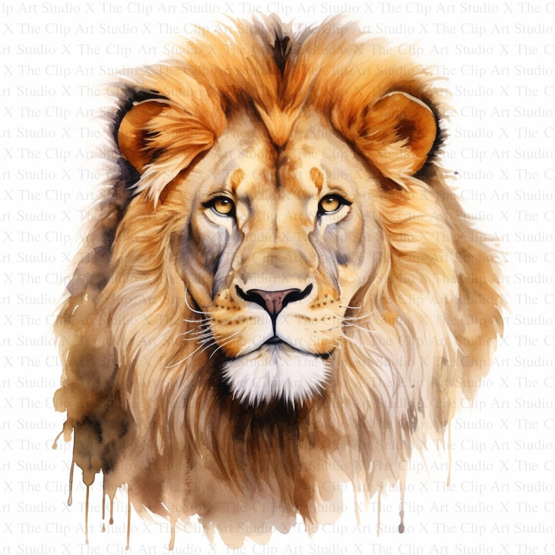 May include: A watercolor painting of a lion's face. The lion has a thick mane of golden brown fur and piercing amber eyes. The background is a soft wash of brown and white.