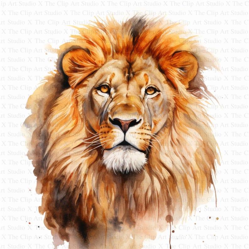 May include: A watercolor painting of a lion's head with a golden mane. The lion has a serious expression and its eyes are open. The background is a white watercolor wash.