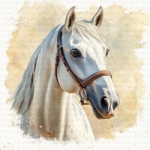 Vários Cavalos Clipart | 10 JPGs de Alta Qualidade | Download Digital | Diários de Lixo | Clipart de Aquarela | Scrapbooking | Clipart | Artesanato em Papel