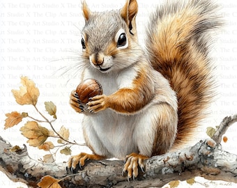 Squirrel Clipart | 10 High Quality JPGs | Digital Download | Digital Paper Craft | Scrapbooking | Mixed Media | Card Making | Animal Clipart