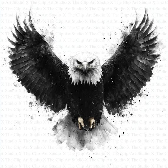 Clipart Aigle 10 fichiers JPG de haute qualité Téléchargement