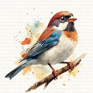 Sparrow Clipart | 10 High Quality JPGs | Digital Download | Scrapbooking | Nursery Art | Card Making | Animal Clipart | Digital Paper Craft