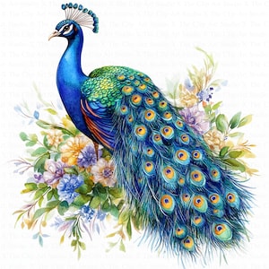 Clipart paon adorable | 10 fichiers JPG de haute qualité | Téléchargement numérique | Sublimation | Clipart aquarelle imprimable | Créations en papier | Journal indésirable