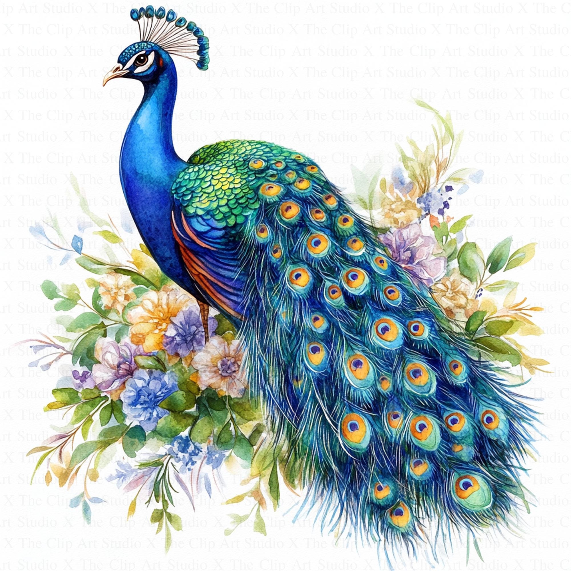 Adorable Peacock Clipart | 10 High Quality Jpgs | Digital Download