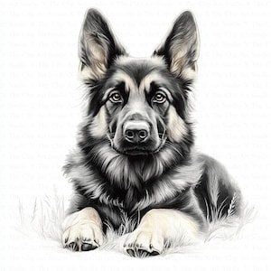 Clipart de pastor alemán / 10 archivos JPG de alta calidad / Descarga digital / Perro pastor / Clipart de acuarela imprimible / Manualidades de papel / Diario basura