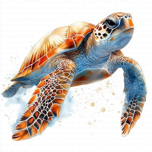 Sea Turtle Clipart | 10 High Quality JPGs | Digital Download | Paper Craft | Junk Journal | Nursery Art | Marine Turtle | Watercolor Clipart