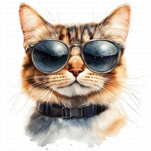 Cool Cats Clipart | 10 High Quality JPGs | Digital Download | Rustic Cats Clipart | Cool Kitten | Clipart | Paper Craft | Junk Journal | Art