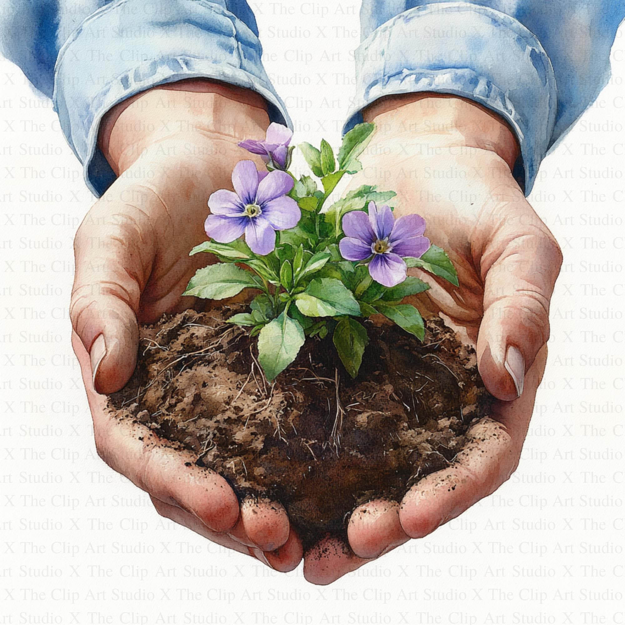 Hands With Soil and Flower Clipart | 10 High Quality Jpgs