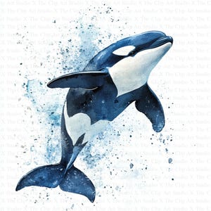 Orca Clipart | 10 hochwertige JPGs | Sofortiger digitaler Download | Kartengestaltung | Digitales Papiermodell | Scrapbooking | Mischtechnik, Nursery Art
