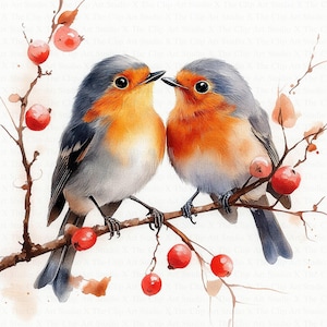 Rotkehlchen Liebe Clipart | 10 hochwertige JPG | Digitaler Download | Druckbare Aquarell Clipart | Digitales Papiermodell | Junk Journals
