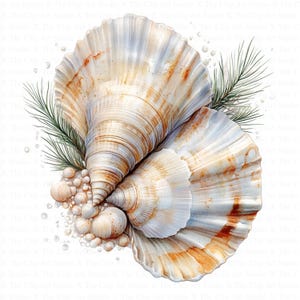 Gorgeous Seashells Clipart | 10 High Quality JPGs | Digital Download | Paper craft | Junk Journals | Seashell Clipart | Watercolor Clipart