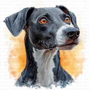 Clipart Lévrier | 10 fichiers JPG de haute qualité | Téléchargement numérique | Fabrication de cartes | Clipart chien mignon | Créations numériques en papier | Clipart | Art pour chambre d'enfant