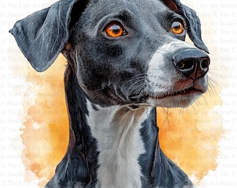 May include: A black and white dog with orange eyes looking to the right. The dog is painted in a watercolor style against a yellow and orange background.