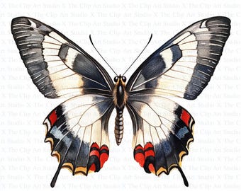 Images de papillons | 10 JPG haute qualité | Téléchargement numérique | Carnet de scrapbooking | Cercle en vitrail | Images aquarelle | Créations numériques en papier