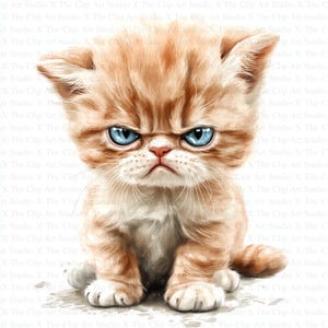 Imágenes prediseñadas de gatito triste y gruñón / 10 archivos JPG de alta calidad / Descarga digital / Imágenes prediseñadas de gato / Imágenes prediseñadas de acuarela / Manualidades de papel digitales / Revistas basura