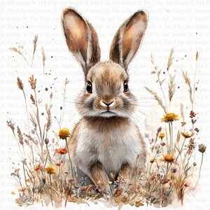 Hare Clipart | 10 High Quality JPGs | Digital Download | Scrapbooking | Mixed Media | Card Making | Animal Clipart | Digital Paper Craft