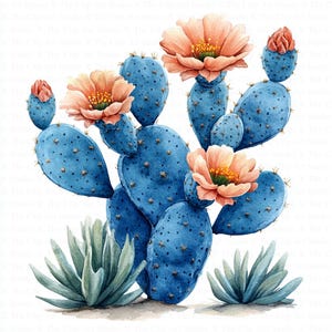 Cactus in Desert Clipart | 10 High Quality JPGs | Digital Download | Paper Craft | Junk Journals | Blooming Cactus | Watercolor Clipart