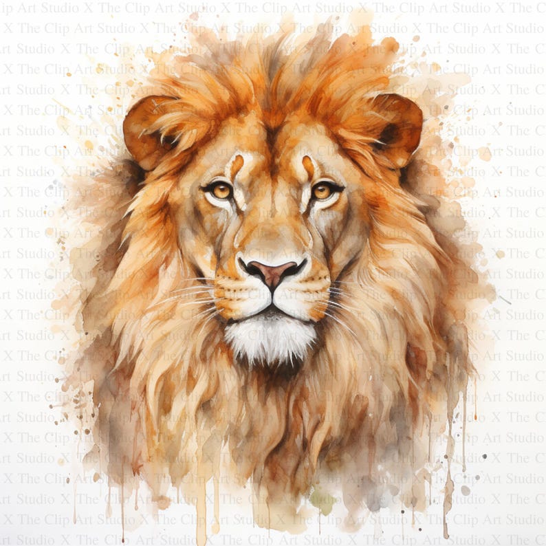 May include: A watercolor painting of a lion's face with a white background. The lion has a thick mane of orange and brown fur. The lion's eyes are open and looking directly at the viewer.
