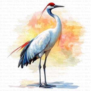 Japanese Crane Clipart | 10 High Quality JPGs | Digital Download | Card Making | Crane Clipart | Digital Paper Craft | Nursery Art | Clipart