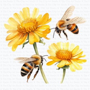 Bees in Flowers Clipart | 10 High Quality JPGs | Instant Digital download | Paper Craft | Floral Bees Clipart | Printable Watercolor Clipart