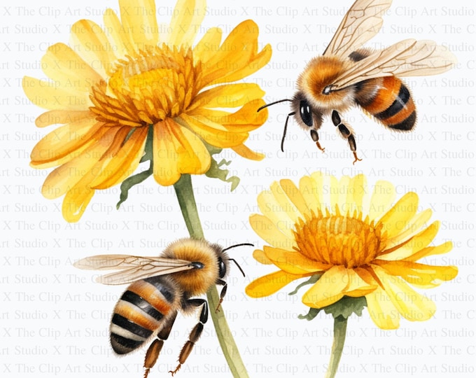 Watercolor Bees Clipart, Nursery Art (digital Download - Etsy Canada