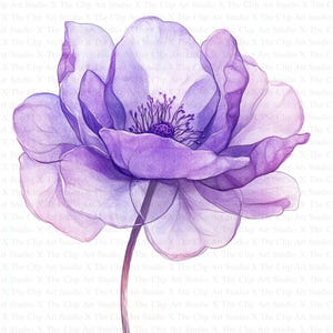 Abstract Flowers Clipart | 10 High Quality JPGs | Digital Download | Junk Journal | Watercolor Clipart | Art | Purple Flowers | Paper Craft