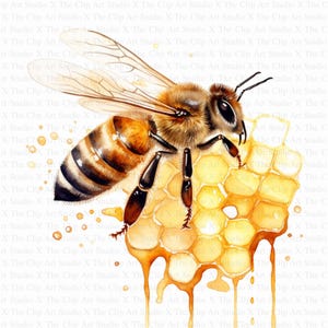 Bees Clipart | 10 High Quality JPGs | Digital Download | Honey Clipart | Beehive | Printable Watercolor Clipart | Paper Craft | Junk Journal