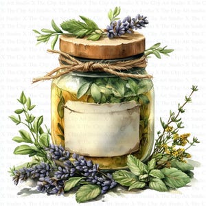 Clipart di barattoli di erbe / 10 JPG di alta qualità / Download digitale / Creazione di biglietti / Clipart di vecchi barattoli / Artigianato di carta digitale / Arte vintage / Clip art