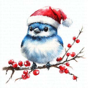 Mésange bleue en bonnet de Noel Clipart | 10 fichiers JPG de haute qualité | Téléchargement numérique | Créations numériques en papier | Journal indésirable | Clipart aquarelle imprimable