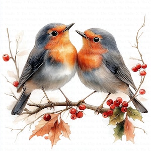 Rotkehlchen Liebe Clipart | 10 hochwertige JPG | Digitaler Download | Digitales Papiermodell | Junk Journals | Druckbares Aquarell Clipart