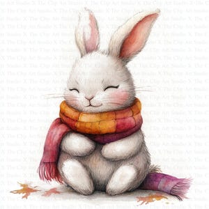 うさぎとスカーフのクリップアート | 10 枚の高品質 JPG | インスタント デジタル ダウンロード | デジタル ペーパー クラフト | スクラップブッキング | カード作成、動物のクリップアート