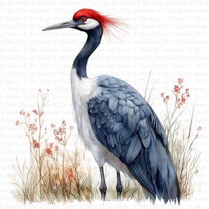 Japanese Crane Clipart | 10 High Quality JPGs | Digital Download | Crane Clipart | Clipart | Card Making | Digital Paper Craft | Nursery Art