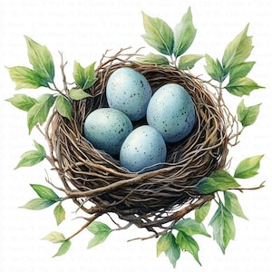Clipart nid d'oiseau | 10 fichiers JPG de haute qualité | Téléchargement numérique | Nid décoratif | Oeufs | Clipart aquarelle | Créations en papier | Journaux indésirables