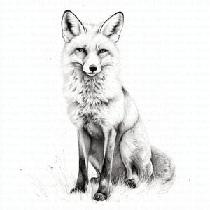 Fox Black White Clipart | 10 High Quality JPGs | Digital Download | Printable Watercolor Clipart | Paper Craft | Junk Journal | Scrapbooking