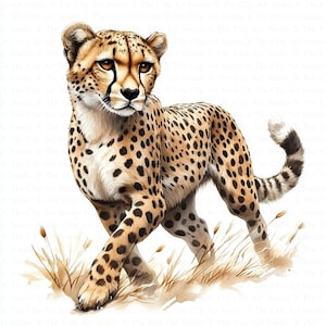 Cheetah Clipart | 10 High Quality JPGs | Digital Download | Printable Watercolor Clipart | Paper Crafts | Sublimation | Watercolor Cheetah