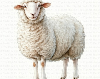 Sheep Clipart | 10 High Quality JPGs | Instant Digital Download | Card Making | Farmyard Animal Clipart | Digital Paper Craft | Nursery Art