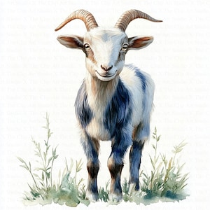 Clipart di capra da fattoria / 10 JPG di alta qualità / Download digitale / Capretto / Clipart acquerello stampabile / Artigianato di carta / Giornale spazzatura / Arte