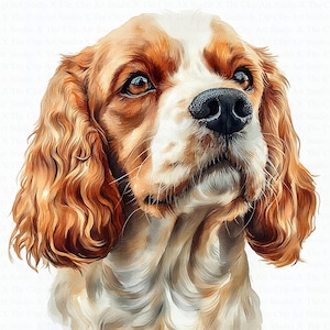 Cocker Spaniel Clipart | 10 High Quality JPG | Digital Download | Cocker Spaniel Print | Watercolor Clipart | Paper Craft | Junk Journal