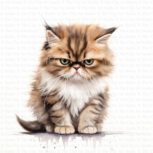 Imágenes prediseñadas de gatito triste y gruñón / 10 archivos JPG de alta calidad / Descarga digital / Manualidades en papel digitales / Revistas basura / Imágenes prediseñadas de gato / Imágenes prediseñadas de acuarela