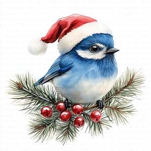 Mésange bleue en bonnet de Noel Clipart | 10 fichiers JPG de haute qualité | Téléchargement numérique | Clipart aquarelle imprimable | Créations numériques en papier | Journal indésirable