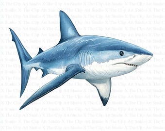 Watercolor Shark Clipart | 10 High Quality JPGs | Digital Download | Card Making | Clipart | Shark Print | Digital Paper Craft | Nursery Art
