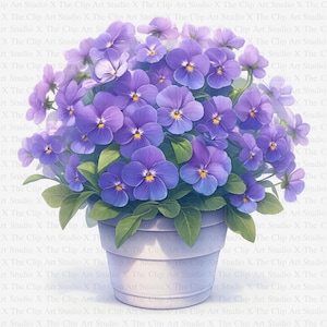 Clipart Violets | 10 wysokiej jakości JPG | Pobieranie cyfrowe | Clipart botaniczny | Planery cyfrowe | Dzienniki śmieciowe | Księgi pamięci | Clipart