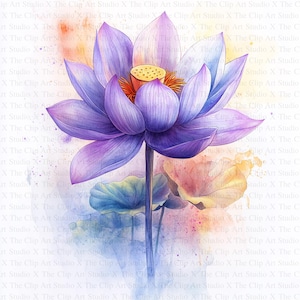Clipart di fiori di loto / 10 JPG di alta qualità / Download digitale / Arte botanica / Creazione di biglietti / Artigianato di carta digitale / Scrapbooking / Clip art