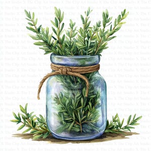 Clipart di barattoli di erbe / 10 JPG di alta qualità / Download digitale / Arte vintage / Clip art / Creazione di biglietti / Clipart di barattoli vecchi / Artigianato di carta digitale