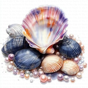 Seashells Pearls Clipart | 10 High Quality JPGs | Digital Download | Junk Journal | Scrapbooking | Art | Watercolor Clipart | Paper Craft