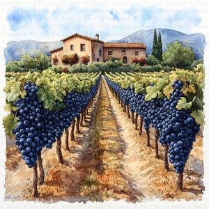 Clipart vigneto / 10 JPG di alta qualità / Download digitale / Arte acquerello / Creazione di biglietti / Tecnica mista / Artigianato di carta digitale / Scrapbooking