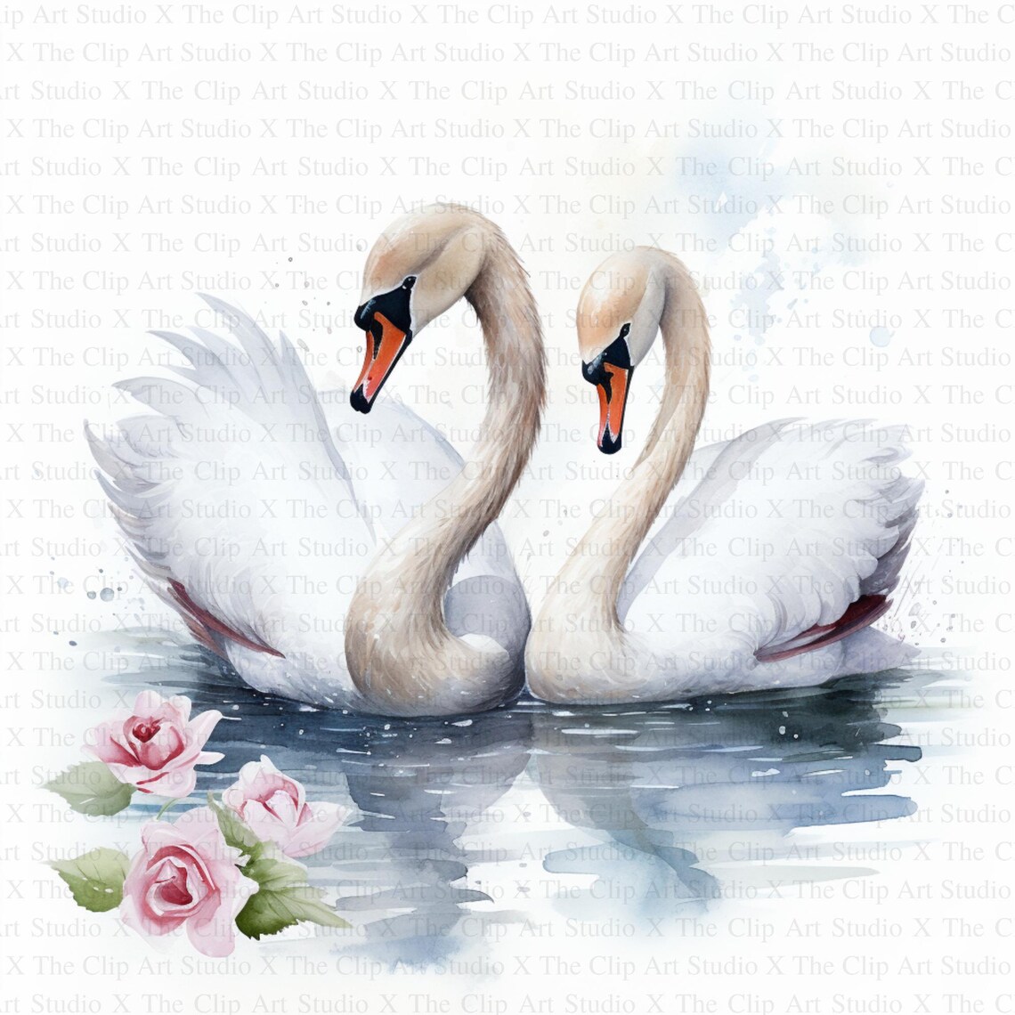 Swan Couple Clipart | 10 High Quality Jpgs | Digital Download | Digital ...
